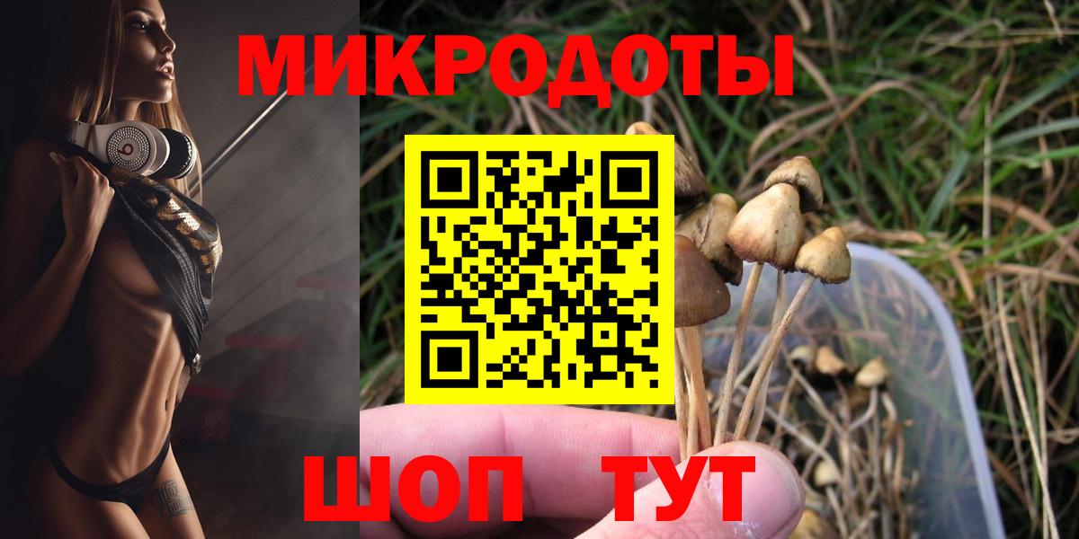 Псилоцибиновые грибы Psilocybine cubensis Нефтеюганск